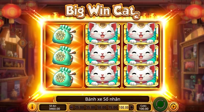 big win cat w88