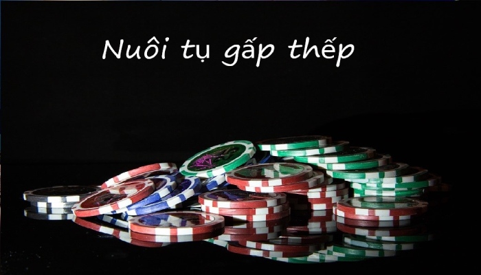 mẹo chơi bầu cua