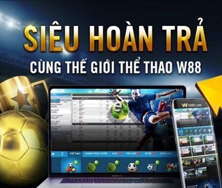 E Thể thao W88 – Sân chơi cá cược thể thao đẳng cấp